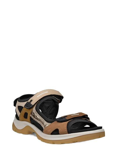 ECCO | Offroad | 43
