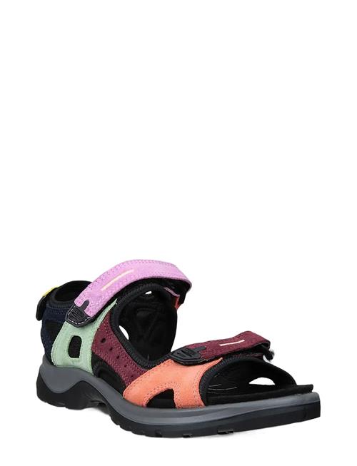 ECCO | Offroad | 38