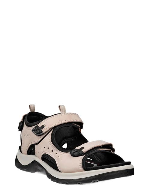 ECCO | Offroad | 43