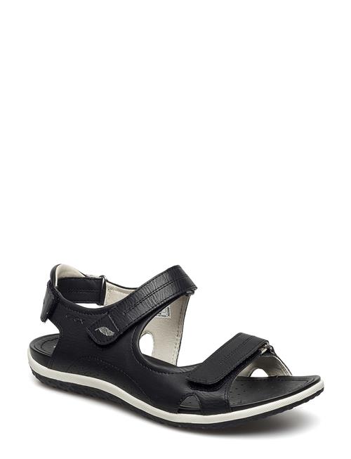 GEOX | D Sandal Vega A | 37