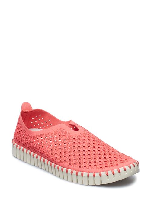 Ilse Jacobsen | Flats | 39