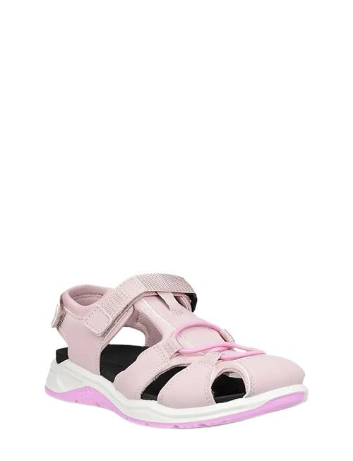 Se ECCO | X-Trinsic K | 35 hos Booztlet