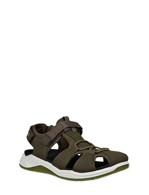 ECCO | X-Trinsic K | 35