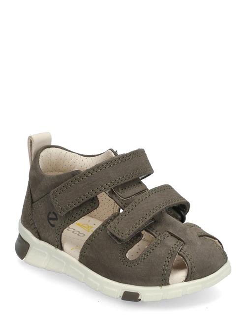 ECCO | Mini Stride Sandal | 19