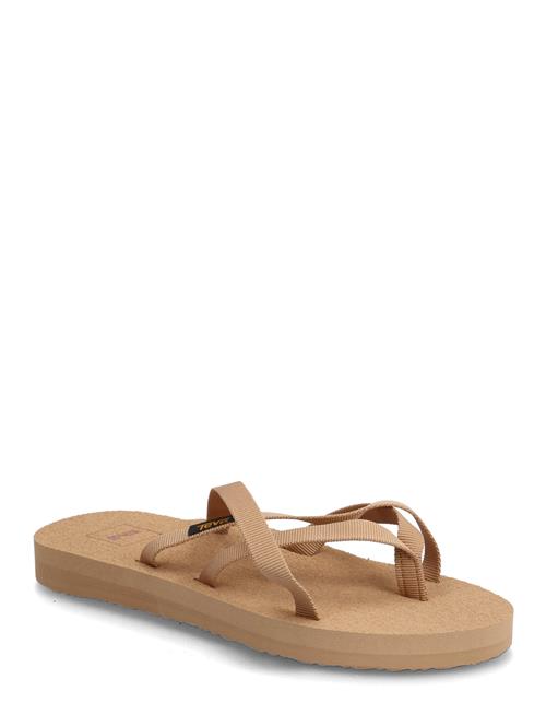 Teva | Olowahu | 40