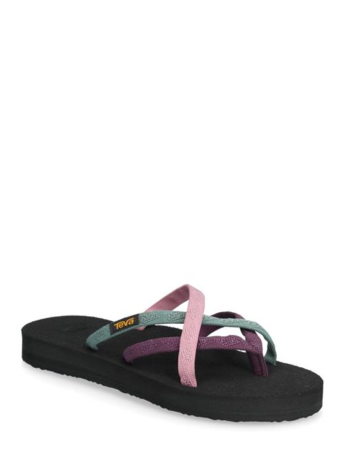 Teva | Olowahu | 37