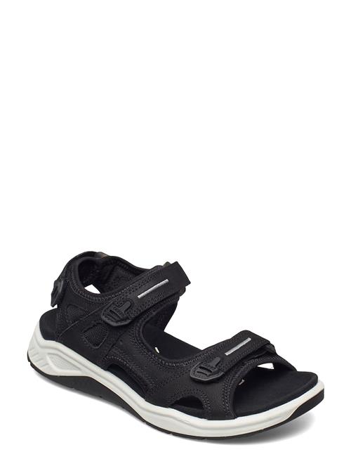 ECCO | X-Trinsic K | 40