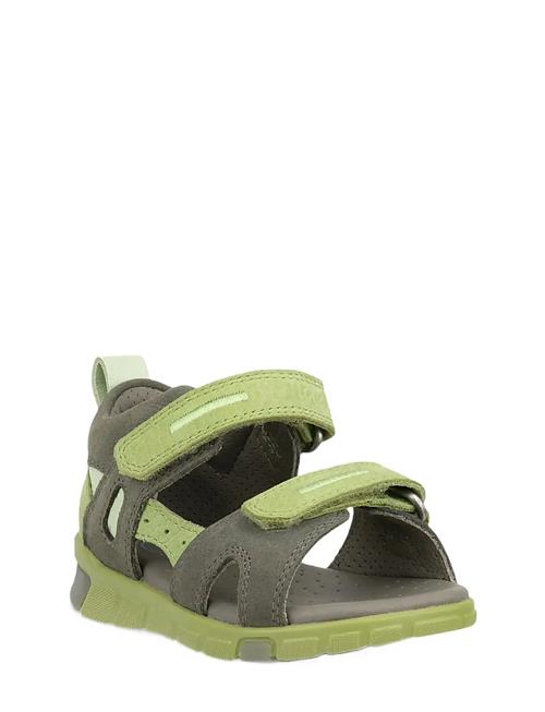 ECCO | Mini Stride Sandal | 21