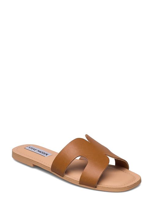 Steve Madden | Zarnia Sandal | 38