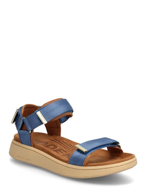 WODEN | Line | 38