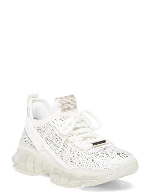 Steve Madden | Maxima-R | 36