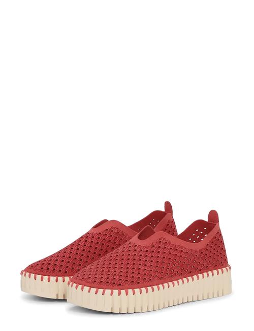 Ilse Jacobsen | Tulip Slip-In On Plateau Sole | 39