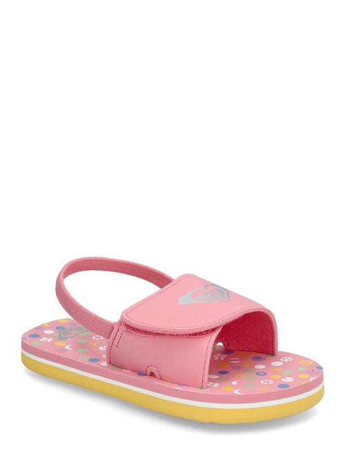 Roxy | Tw Finn | 24