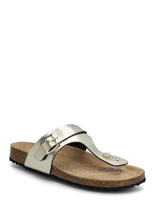 GEOX | D Brionia K | 40