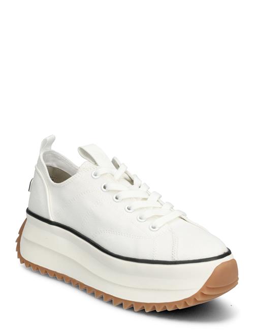Tamaris | Women Lace-Up | 42