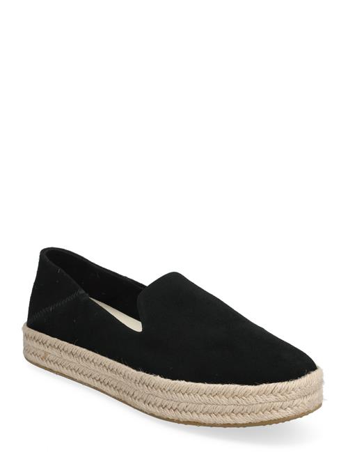 TOMS | Carolina | 38