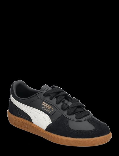 PUMA | Palermo Lth Jr | 37