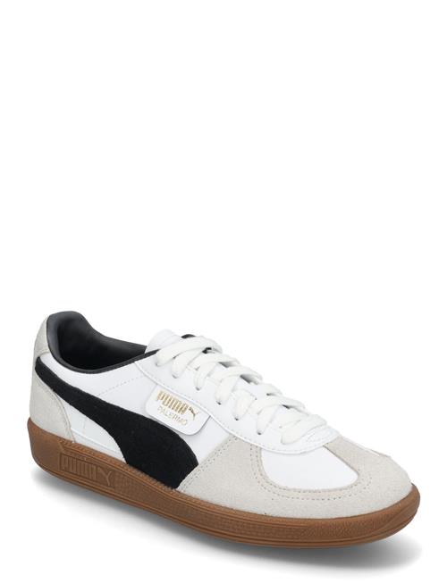 PUMA | Palermo Lth Jr | 36
