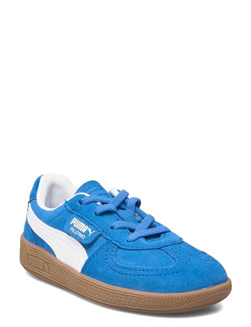 PUMA | Palermo Ac Inf | 27