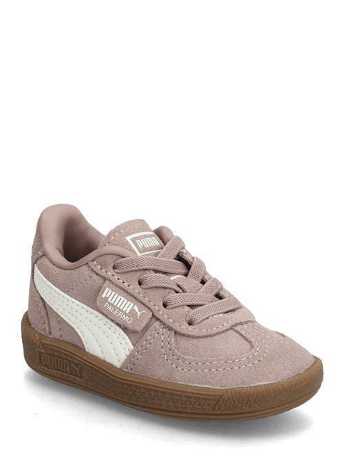 PUMA | Palermo Ac Inf | 21