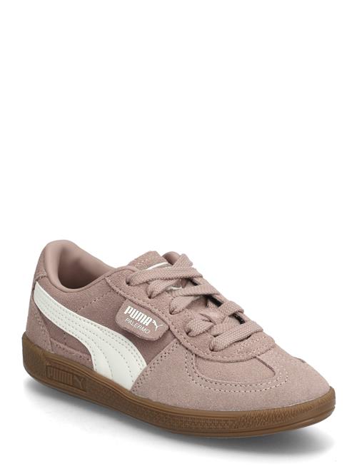 PUMA | Palermo Ps | 33