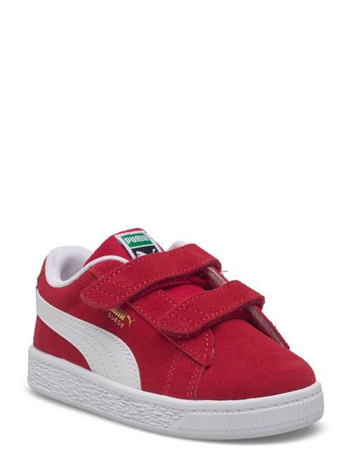 PUMA | Suede Classic V Inf | 20