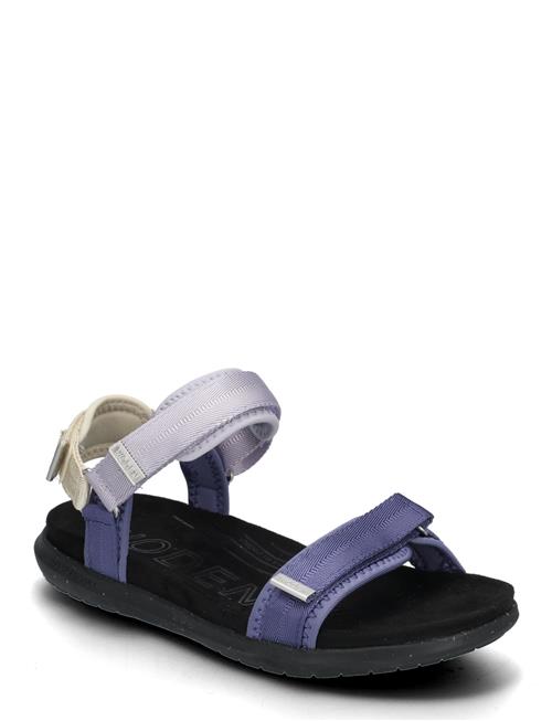 WODEN | Line Lite | 36