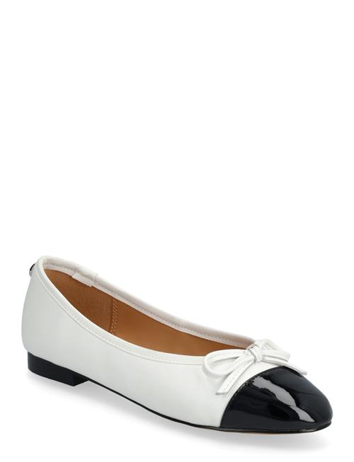 Steve Madden | Ellison | 41