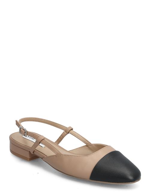 Steve Madden | Belinda | 42