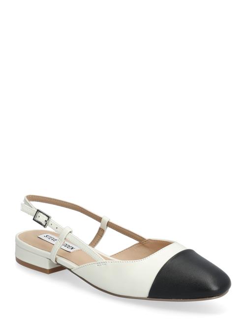 Steve Madden | Belinda Ballerina | 41