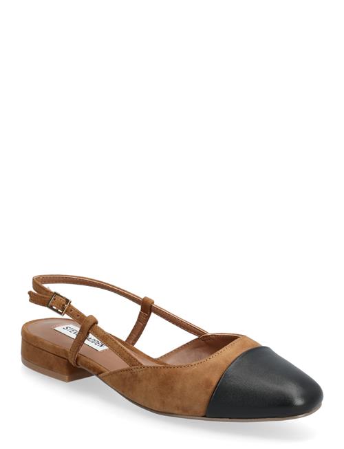 Steve Madden | Belinda | 37