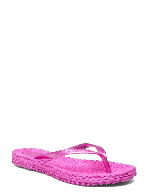 Ilse Jacobsen | Cheerful02 | 40