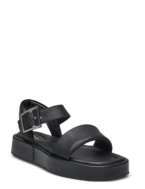 Clarks | Alda Strap D | 38