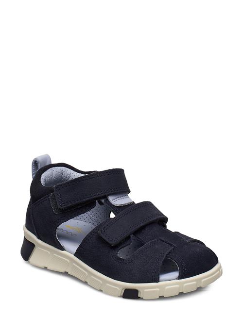ECCO | Mini Stride Sandal | 25