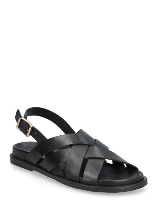 GEOX | D Adelash A | 36