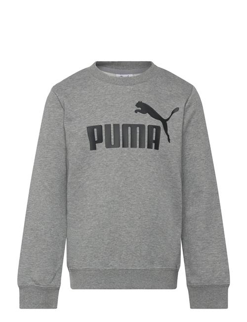 PUMA | Ess No. 1 Logo Crew Tr B | 164