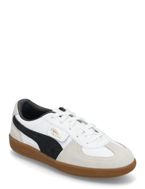 PUMA | Palermo Lth Ps | 33
