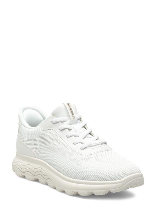 GEOX | D Spherica Plus A | 36