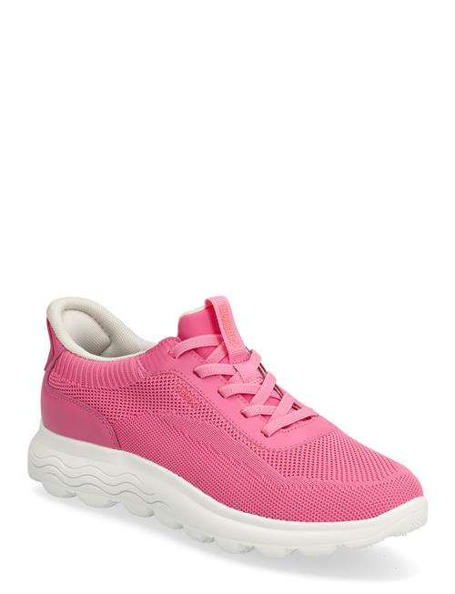 GEOX | D Spherica Plus A | 36