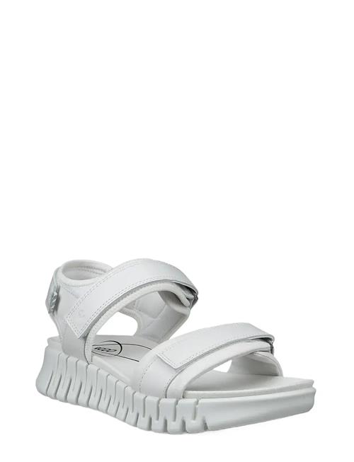 ECCO | Gruuv Sol W | 36