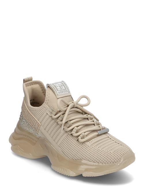 Steve Madden | Maxilla-R-E | 42