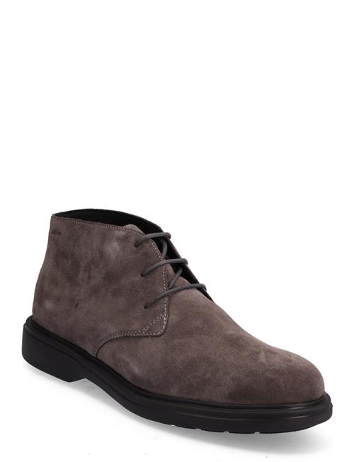 GEOX | U Ottavio B | 43