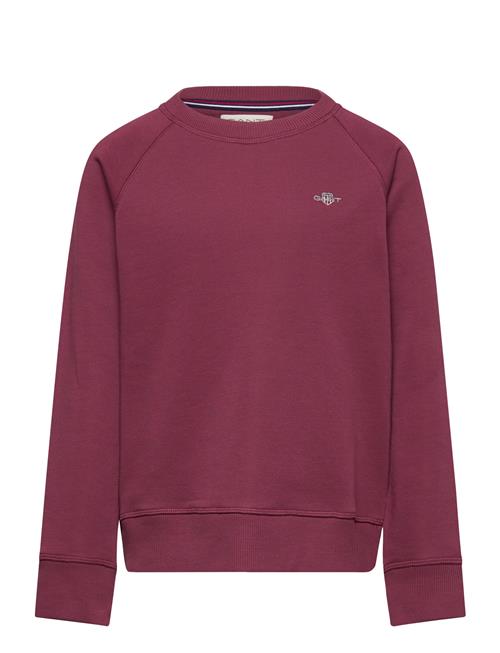 Gant | Shield C-Neck | 176