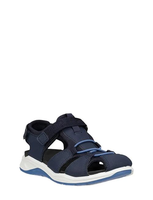 ECCO | X-Trinsic K | 33