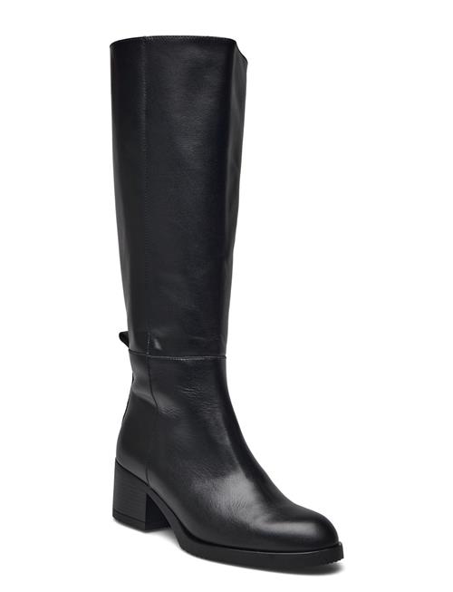 Wonders | Topo | 37