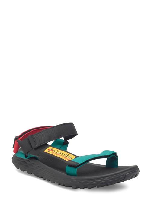 Columbia Sportswear | Konos Globetrot | 43