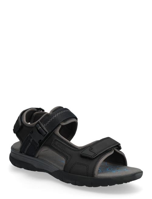GEOX | U Spherica Ec5 B | 43