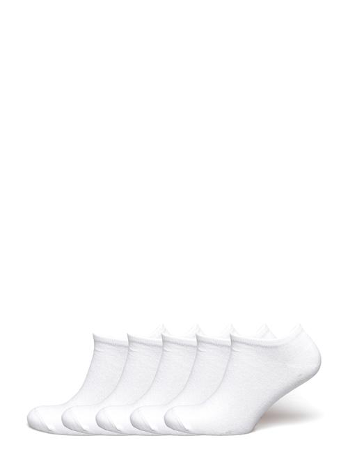 ZEBDIA | 5-Pk Tennis Footies | 35-38