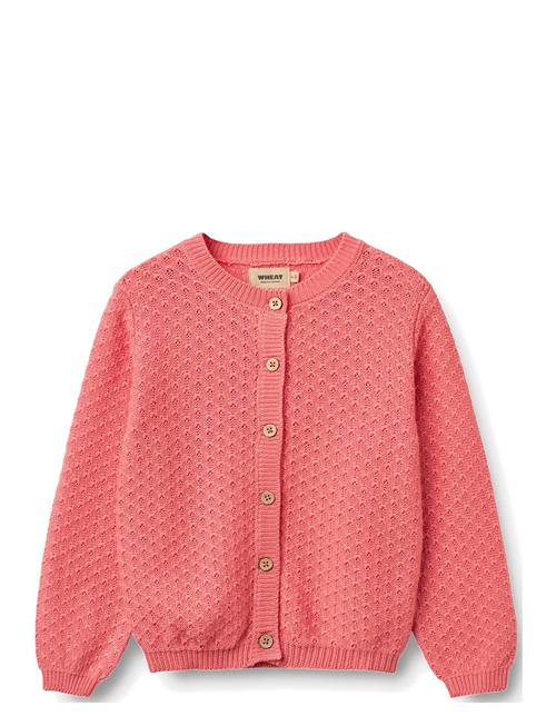 Wheat | Knit Cardigan Magnella | 128