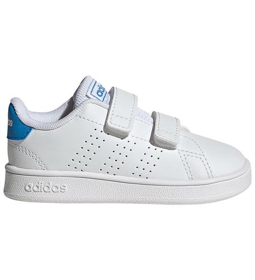 adidas Performance Sko - Advantage - Cloud White/Lucid Ray Blue